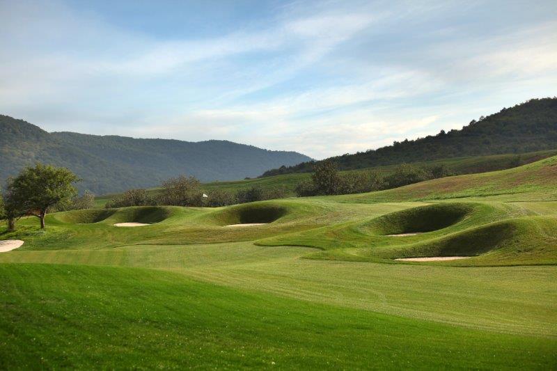 Total Golf Construction is Happy to Consult on YOUR Next Project.