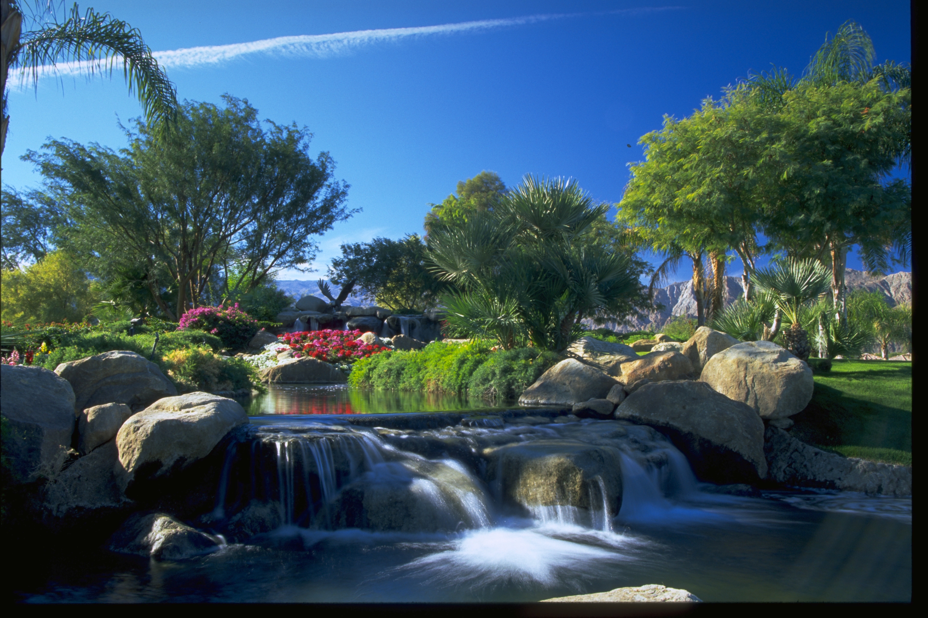 Landscaping On Course or Commerical